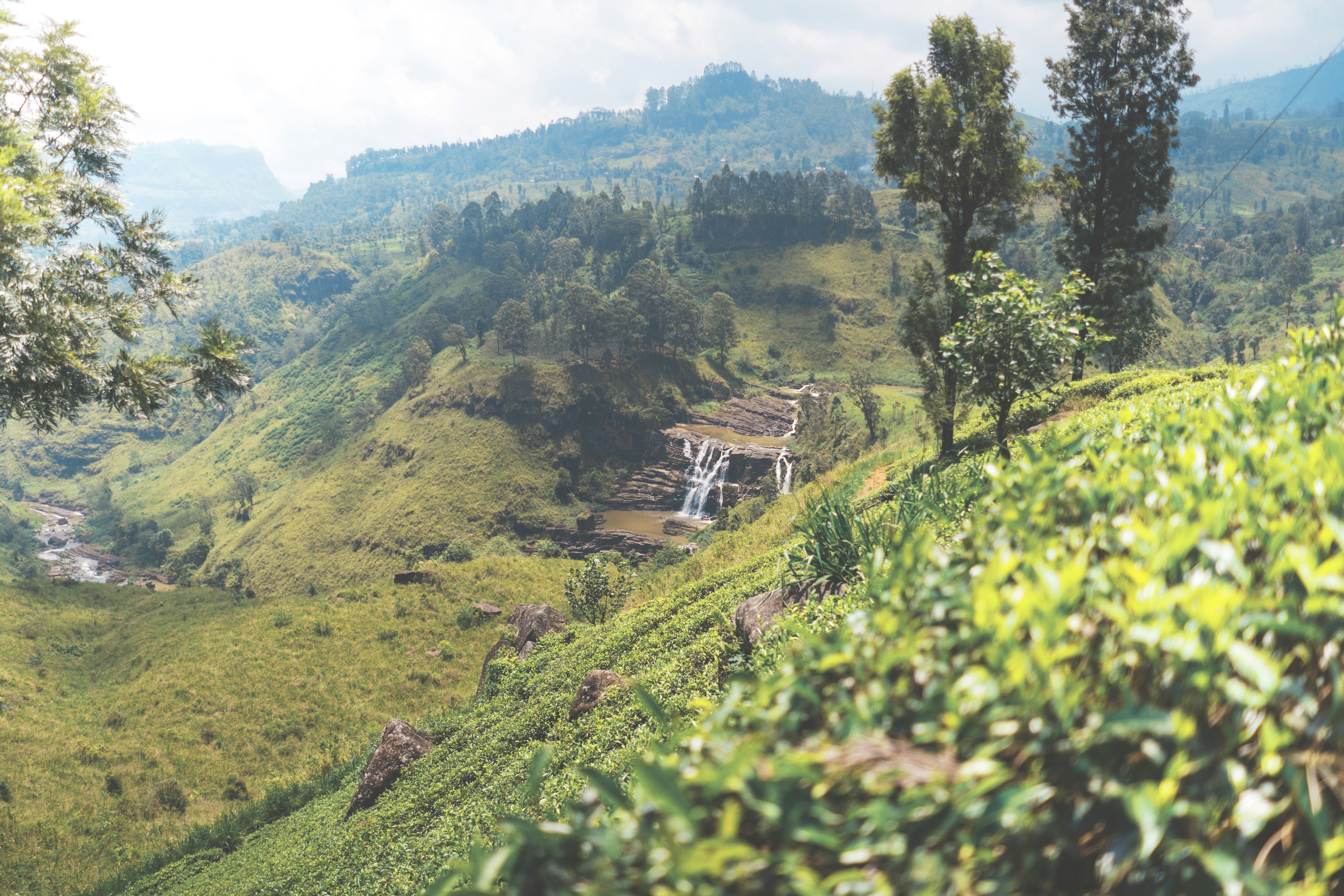 high-angle photo of mountains with trees